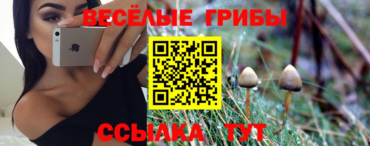 Псилоцибиновые грибы мухоморы Пушкино